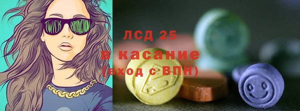 сатива Козловка