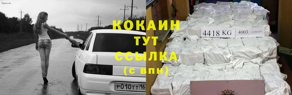 сатива Козловка