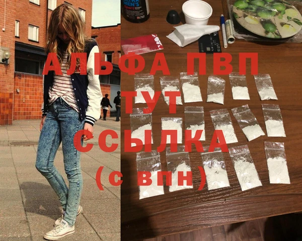 PSILOCYBIN Козельск