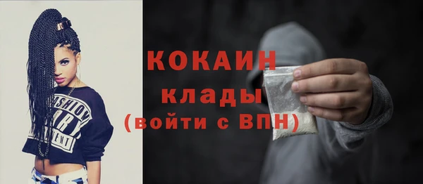 сатива Козловка