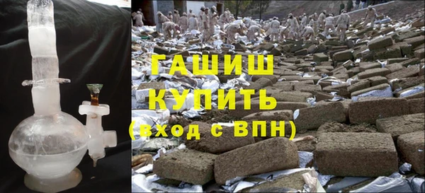 сатива Козловка