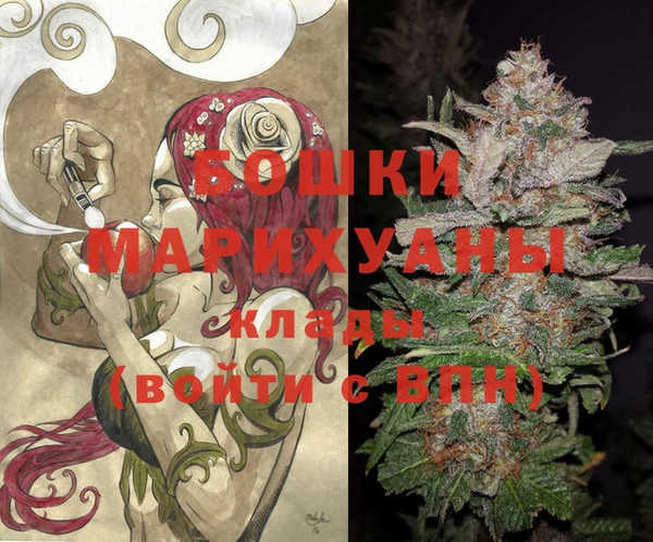сатива Козловка