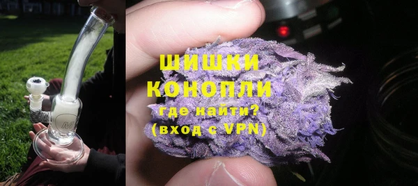 PSILOCYBIN Козельск
