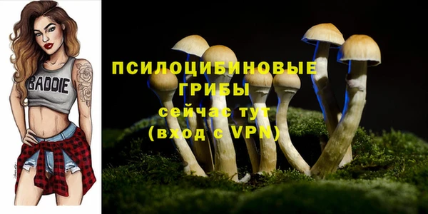 сатива Козловка