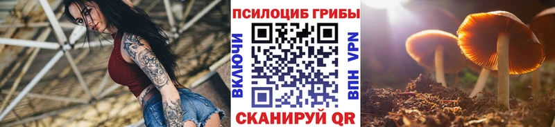 Псилоцибиновые грибы ЛСД  Купить закладки  Артёмовск 